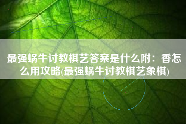 最强蜗牛讨教棋艺答案是什么附：香怎么用攻略(最强蜗牛讨教棋艺象棋)