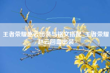 王者荣耀赵云出装与铭文搭配_王者荣耀赵云回血出装