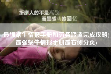 最强蜗牛情报手册和劳务派遣完成攻略(最强蜗牛情报手册最右侧分页)