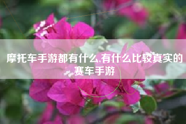 摩托车手游都有什么,有什么比较真实的赛车手游