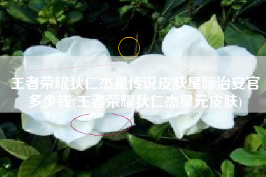 王者荣耀狄仁杰星传说皮肤星际治安官多少钱(王者荣耀狄仁杰星元皮肤)