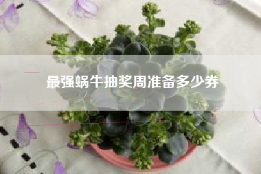 最强蜗牛抽奖周准备多少券