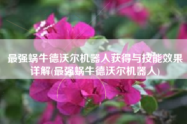 最强蜗牛德沃尔机器人获得与技能效果详解(最强蜗牛德沃尔机器人)