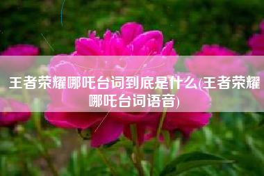 王者荣耀哪吒台词到底是什么(王者荣耀哪吒台词语音)