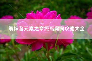 解神者元素之章终焉房间攻略大全