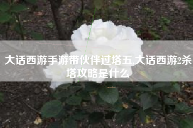 大话西游手游带伙伴过塔五,大话西游2杀塔攻略是什么