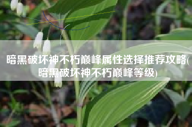暗黑破坏神不朽巅峰属性选择推荐攻略(暗黑破坏神不朽巅峰等级)