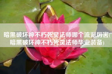暗黑破坏神不朽死灵法师哪个流派厉害(暗黑破坏神不朽死灵法师毕业装备)
