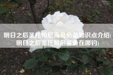 明日之后圣托帕尼海岛必备知识点介绍(明日之后圣托帕尼鲨鱼在哪钓)