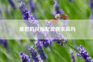 暴君的祝福配置要求高吗