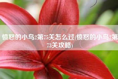 愤怒的小鸟2第75关怎么过(愤怒的小鸟2第73关攻略)
