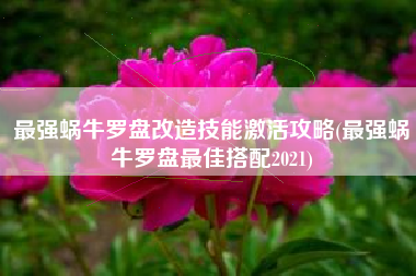 最强蜗牛罗盘改造技能激活攻略(最强蜗牛罗盘最佳搭配2021)