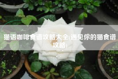 猫语咖啡食谱攻略大全(遇见你的猫食谱攻略)