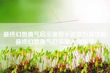 最终幻想勇气启示录双手武器伤害攻略(最终幻想勇气启示录人物强度)