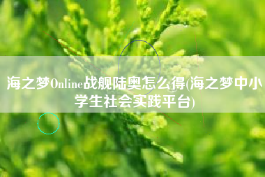 海之梦Online战舰陆奥怎么得(海之梦中小学生社会实践平台)