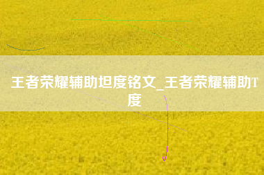 王者荣耀辅助坦度铭文_王者荣耀辅助T度