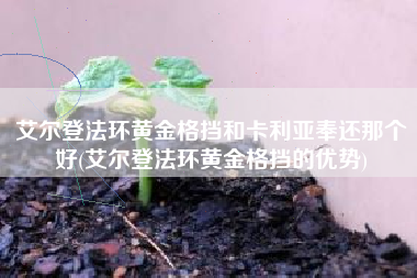 艾尔登法环黄金格挡和卡利亚奉还那个好(艾尔登法环黄金格挡的优势)