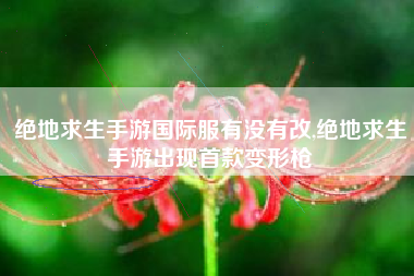 绝地求生手游国际服有没有改,绝地求生手游出现首款变形枪