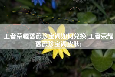 王者荣耀蔷薇珍宝阁如何兑换(王者荣耀蔷薇珍宝阁皮肤)