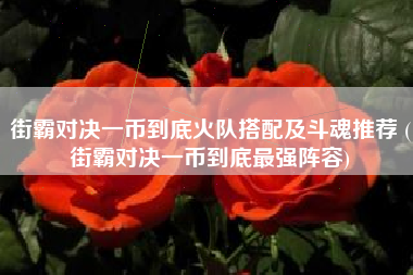 街霸对决一币到底火队搭配及斗魂推荐 (街霸对决一币到底最强阵容)