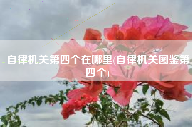自律机关第四个在哪里(自律机关图鉴第四个)