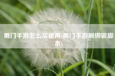 蜀门手游怎么买银两(蜀门手游刷绑银脚本)