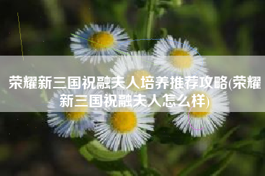 荣耀新三国祝融夫人培养推荐攻略(荣耀新三国祝融夫人怎么样)
