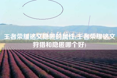 王者荣耀铭文隐匿的属性(王者荣耀铭文狩猎和隐匿哪个好)