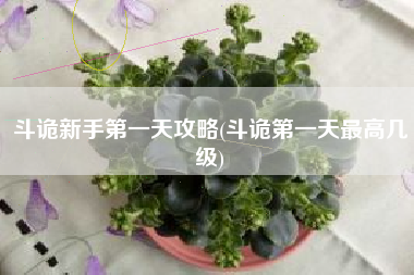 斗诡新手第一天攻略(斗诡第一天最高几级)