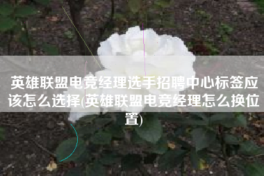 英雄联盟电竞经理选手招聘中心标签应该怎么选择(英雄联盟电竞经理怎么换位置)