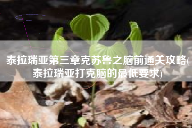 泰拉瑞亚第三章克苏鲁之脑前通关攻略(泰拉瑞亚打克脑的最低要求)