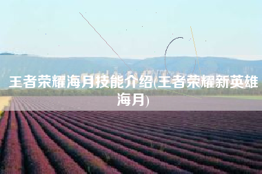王者荣耀海月技能介绍(王者荣耀新英雄海月)