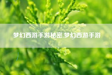 梦幻西游手游秘密,梦幻西游手游
