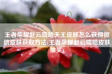 王者荣耀赵云嘻哈天王皮肤怎么获得微信皮肤获取方法(王者荣耀赵云嘻哈皮肤抽奖)