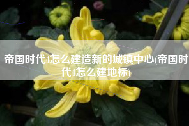 帝国时代4怎么建造新的城镇中心(帝国时代4怎么建地标)