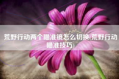 荒野行动两个瞄准镜怎么切换(荒野行动瞄准技巧)