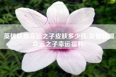 英雄联盟命运之子皮肤多少钱(英雄联盟命运之子幸运福利)