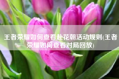 王者荣耀如何查看赴花朝活动规则(王者荣耀如何查看对局回放)