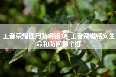 王者荣耀通用防御铭文_王者荣耀铭文生命和防御哪个好