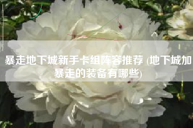 暴走地下城新手卡组阵容推荐 (地下城加暴走的装备有哪些)