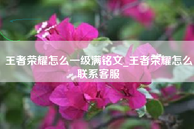 王者荣耀怎么一级满铭文_王者荣耀怎么联系客服
