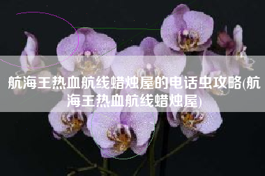 航海王热血航线蜡烛屋的电话虫攻略(航海王热血航线蜡烛屋)