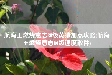 航海王燃烧意志80级黄猿加点攻略(航海王燃烧意志80级速度散件)