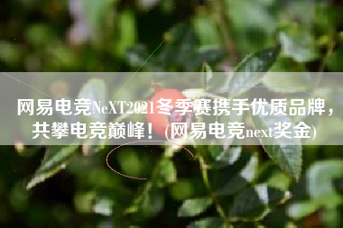 网易电竞NeXT2021冬季赛携手优质品牌，共攀电竞巅峰！(网易电竞next奖金)