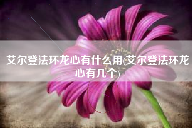 艾尔登法环龙心有什么用(艾尔登法环龙心有几个)