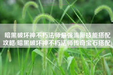暗黑破坏神不朽法师最强流派技能搭配攻略(暗黑破坏神不朽法师传奇宝石搭配)