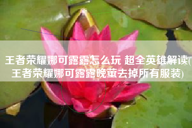 王者荣耀娜可露露怎么玩 超全英雄解读(王者荣耀娜可露露晚萤去掉所有服装)