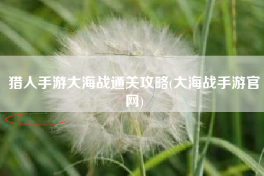 猎人手游大海战通关攻略(大海战手游官网)