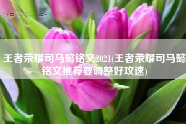 王者荣耀司马懿铭文2021(王者荣耀司马懿铭文推荐要调整好攻速)