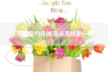 苍蓝誓约桂掉落点及技能一览